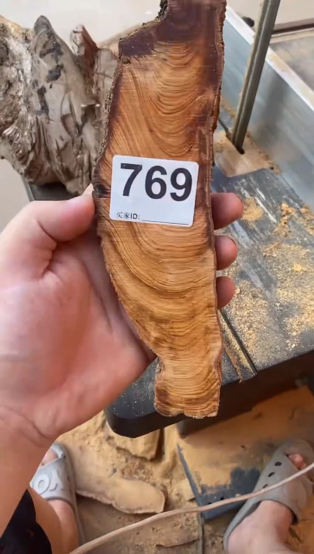 柏木（崖柏）太行崖柏切片一块（津诚林）