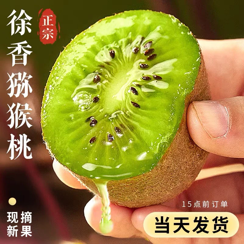 Y陕西眉县秦岭山下徐香猕猴桃新鲜采摘产地发货假一赔十