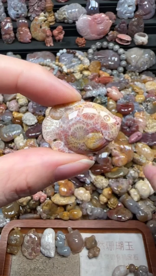 颈饰未镶嵌硅化珊瑚（珊瑚玉）617