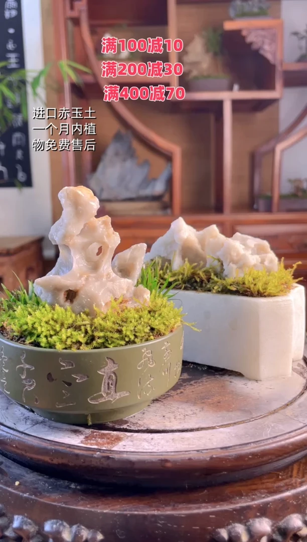 无花朵一物一拍方寸石景