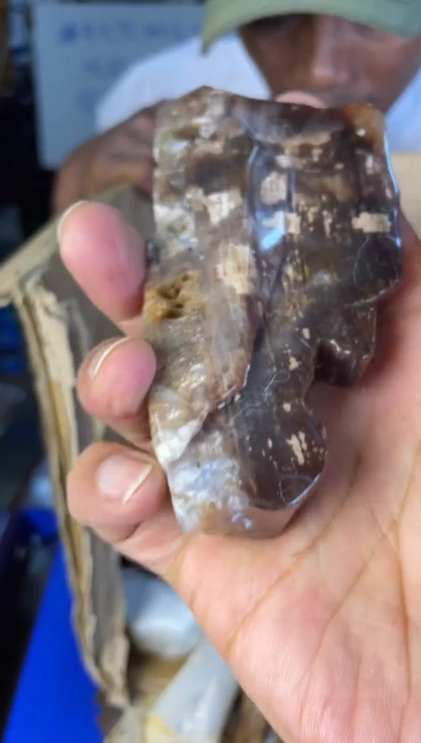 未镶嵌手把硅化玉11