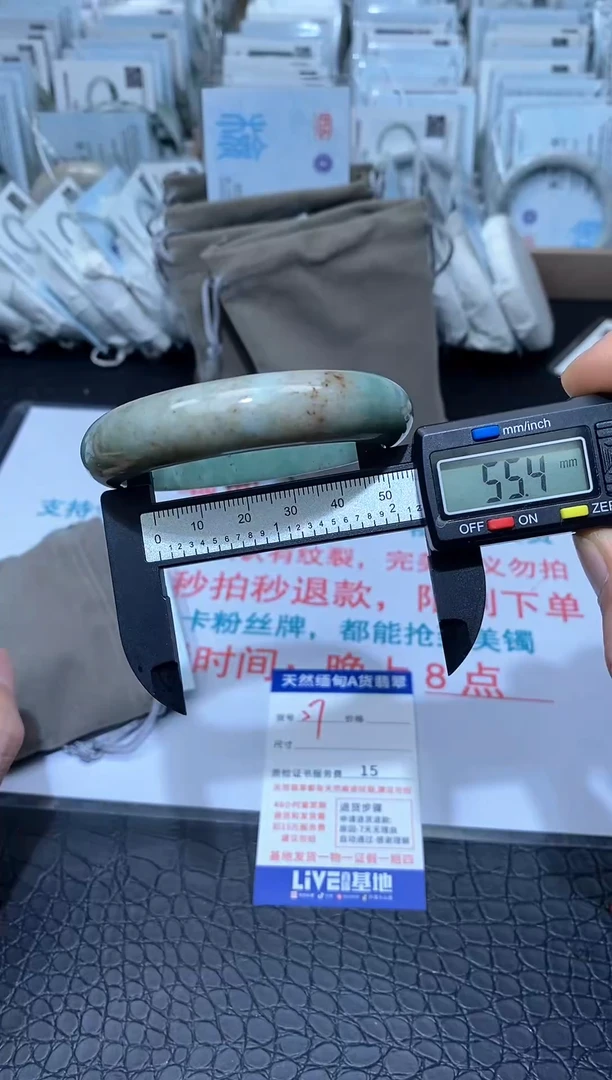 未镶嵌手镯翡翠A57 翡翠手镯