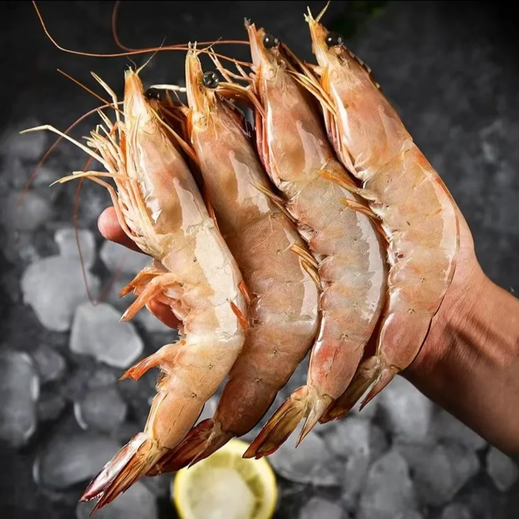 小船捕捞原生态白对虾/明虾（每斤14/16只左右）不包冰水产不泡药