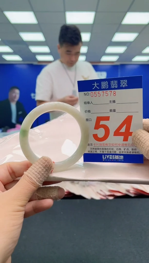 未镶嵌手镯翡翠AAAAAAAAAA