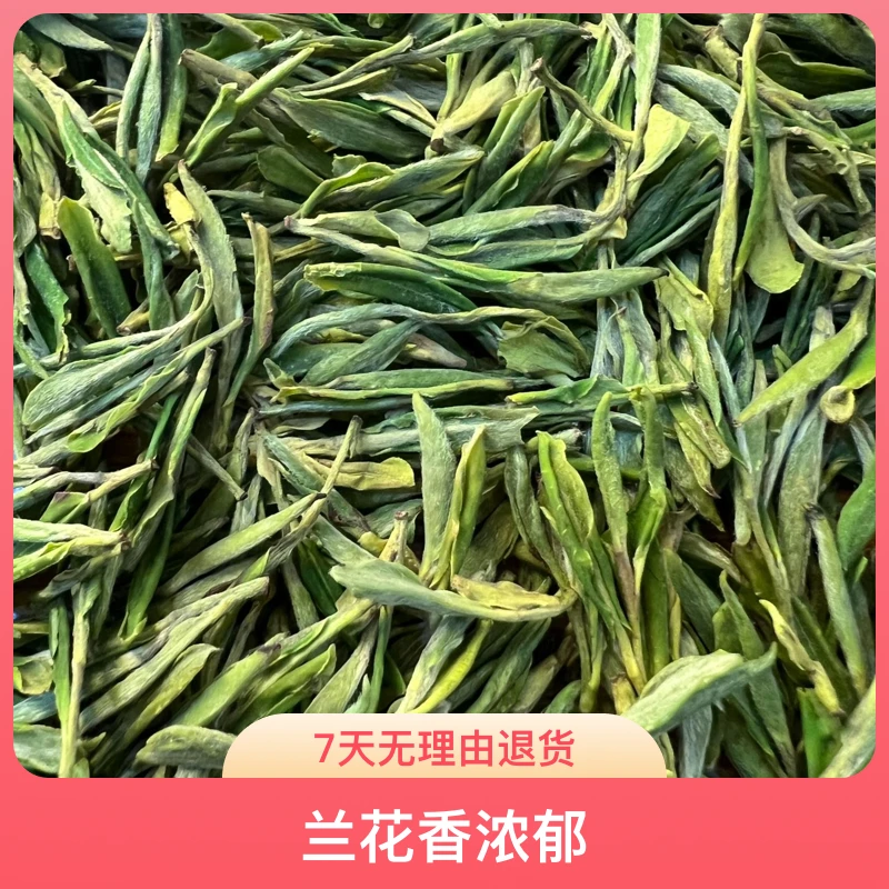 新茶安吉高山黄金芽兰花香口感鲜爽适合送礼