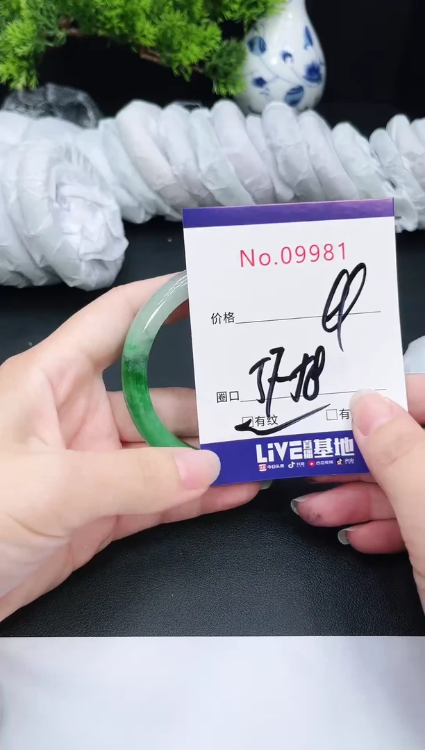 未镶嵌手镯翡翠981