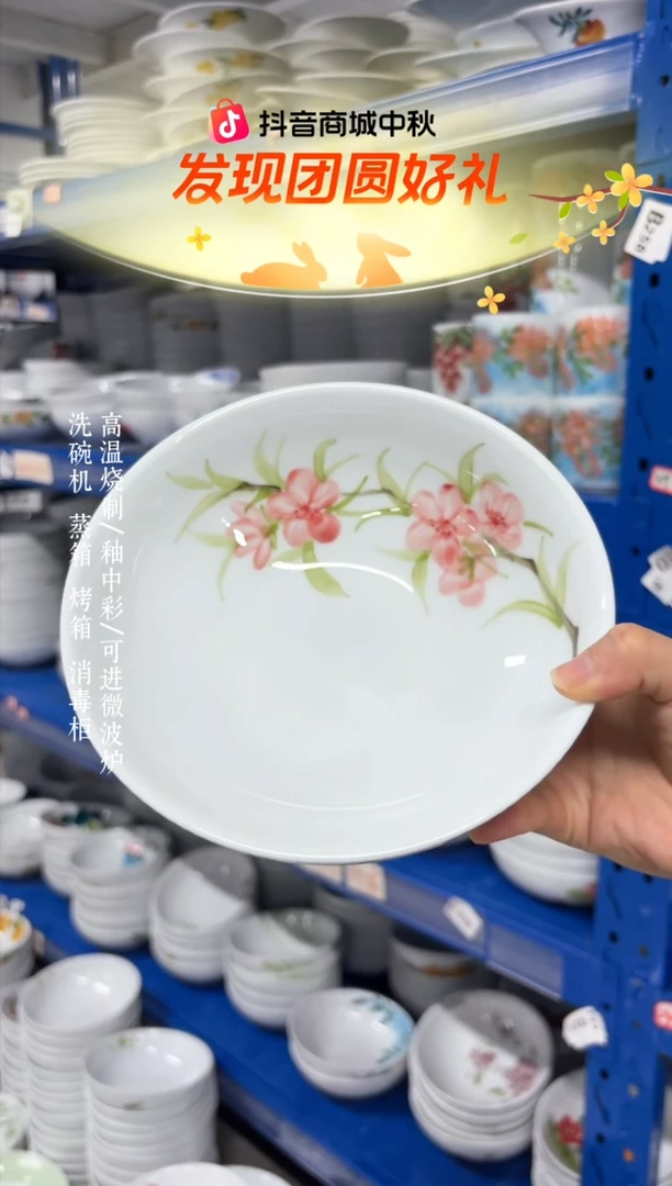 瓷片景德镇手绘釉中彩（食品级）大胖碗