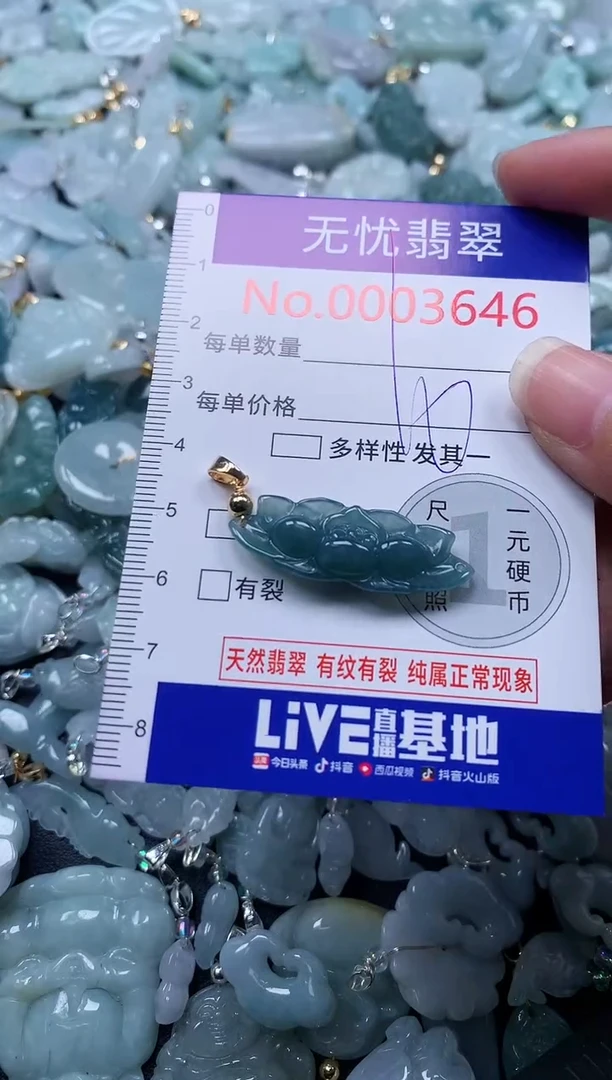 颈饰未镶嵌翡翠3646