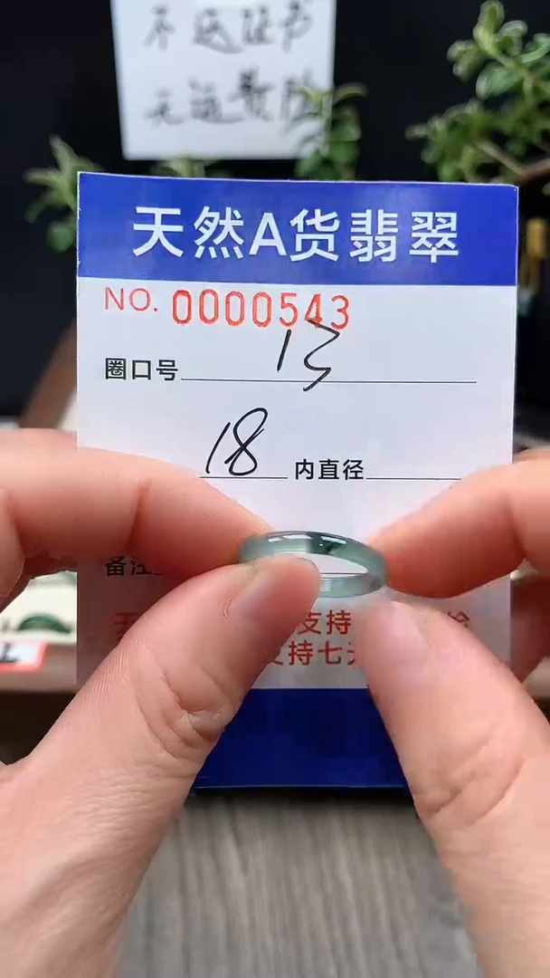 未镶嵌戒指翡翠13#