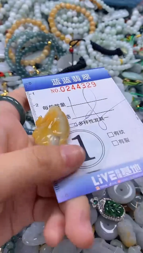 翡翠未镶嵌颈饰闪购0244329