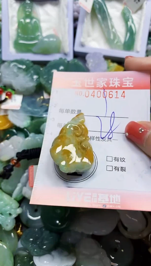 颈饰未镶嵌翡翠闪购0400614