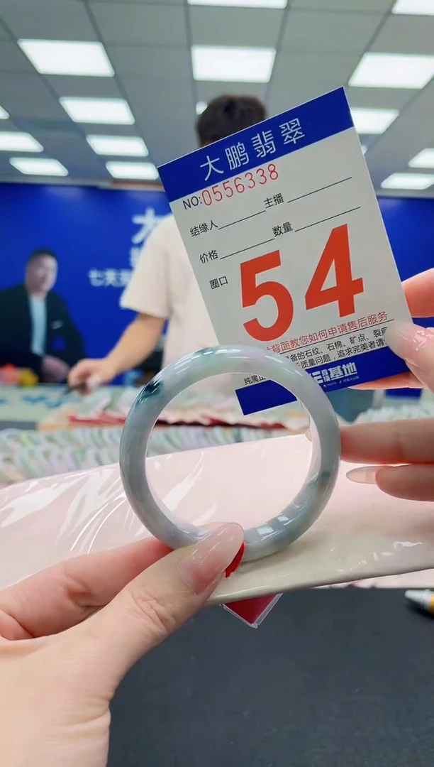 未镶嵌手镯翡翠AAAAAAAAA