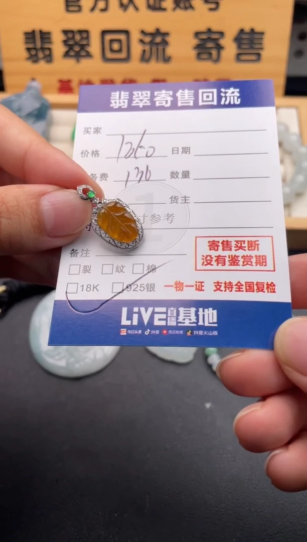 颈饰18K金镶嵌翡翠10146833