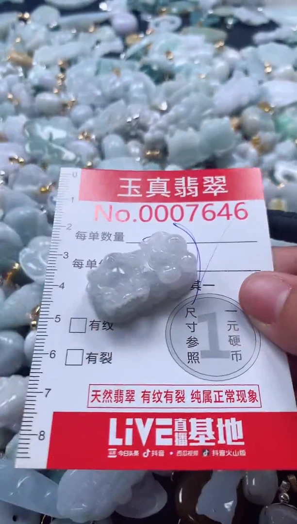 吊坠(不含链)未镶嵌翡翠7646