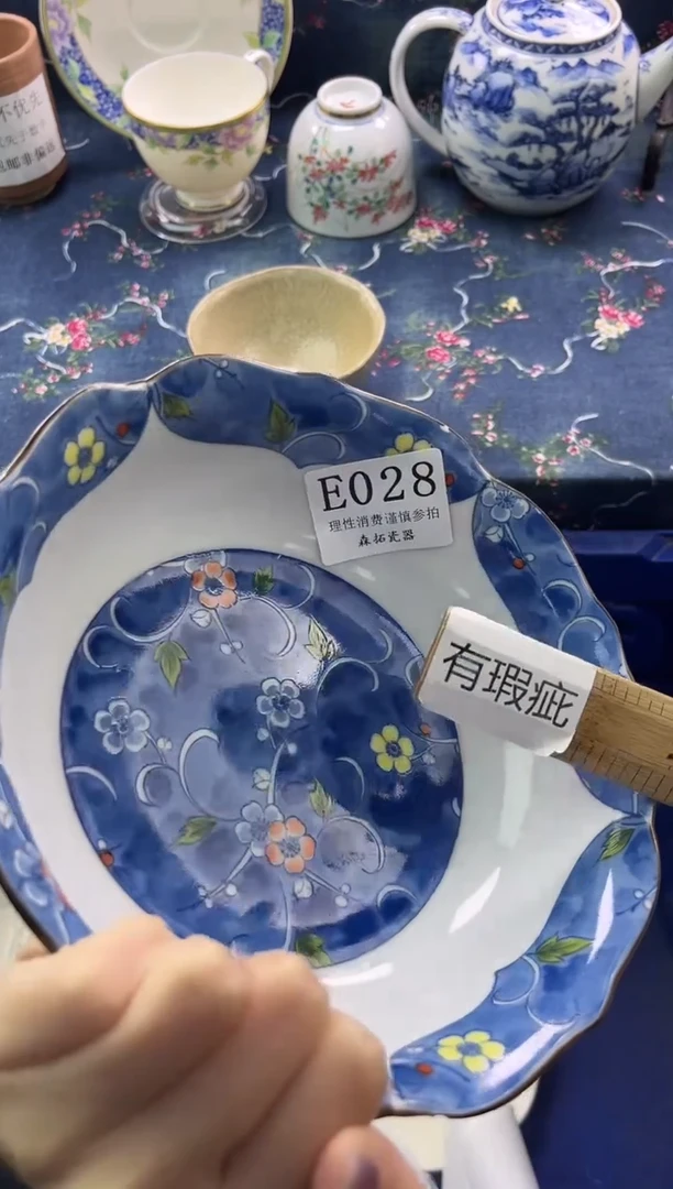 瓷片          E028