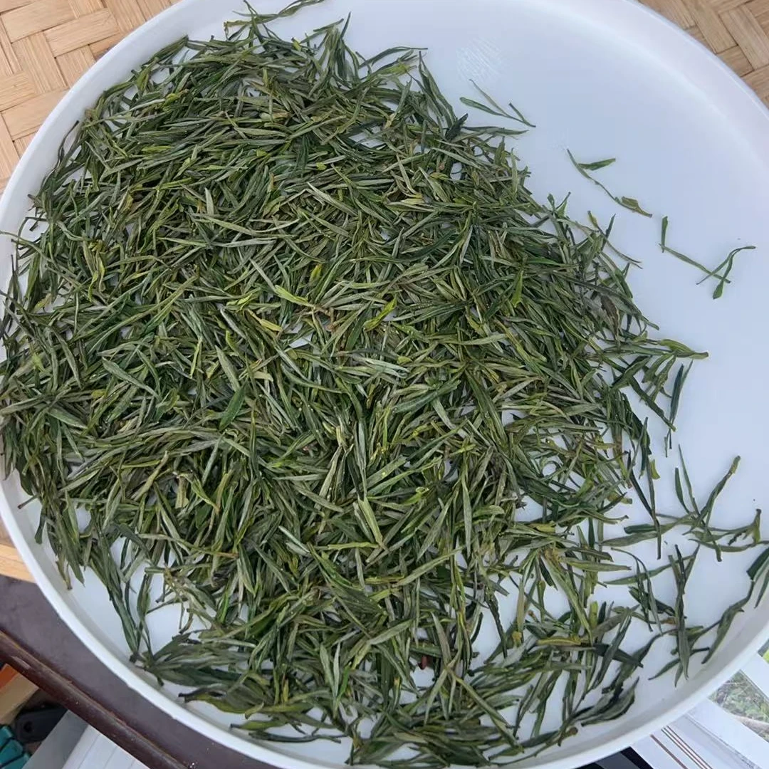 古山里2025年新茶毛峰582号茶农0404