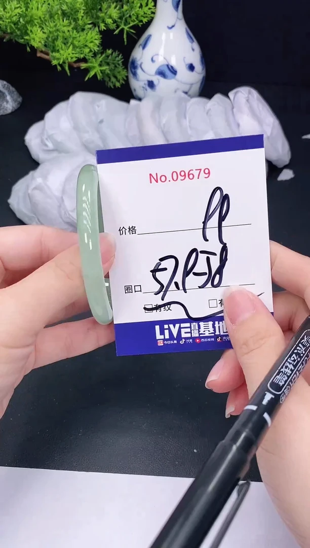 未镶嵌手镯翡翠9679