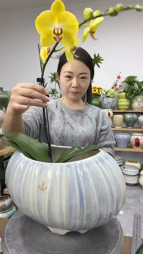 11.9陶瓷花盆直播链接高.    19  口20