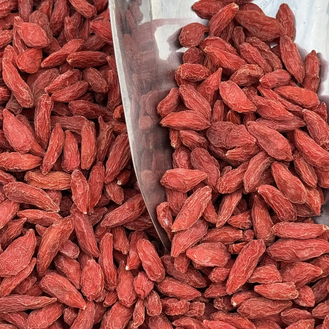 【山货】枸杞200g红枸杞子无硫大果颗粒营养头茬枸杞
