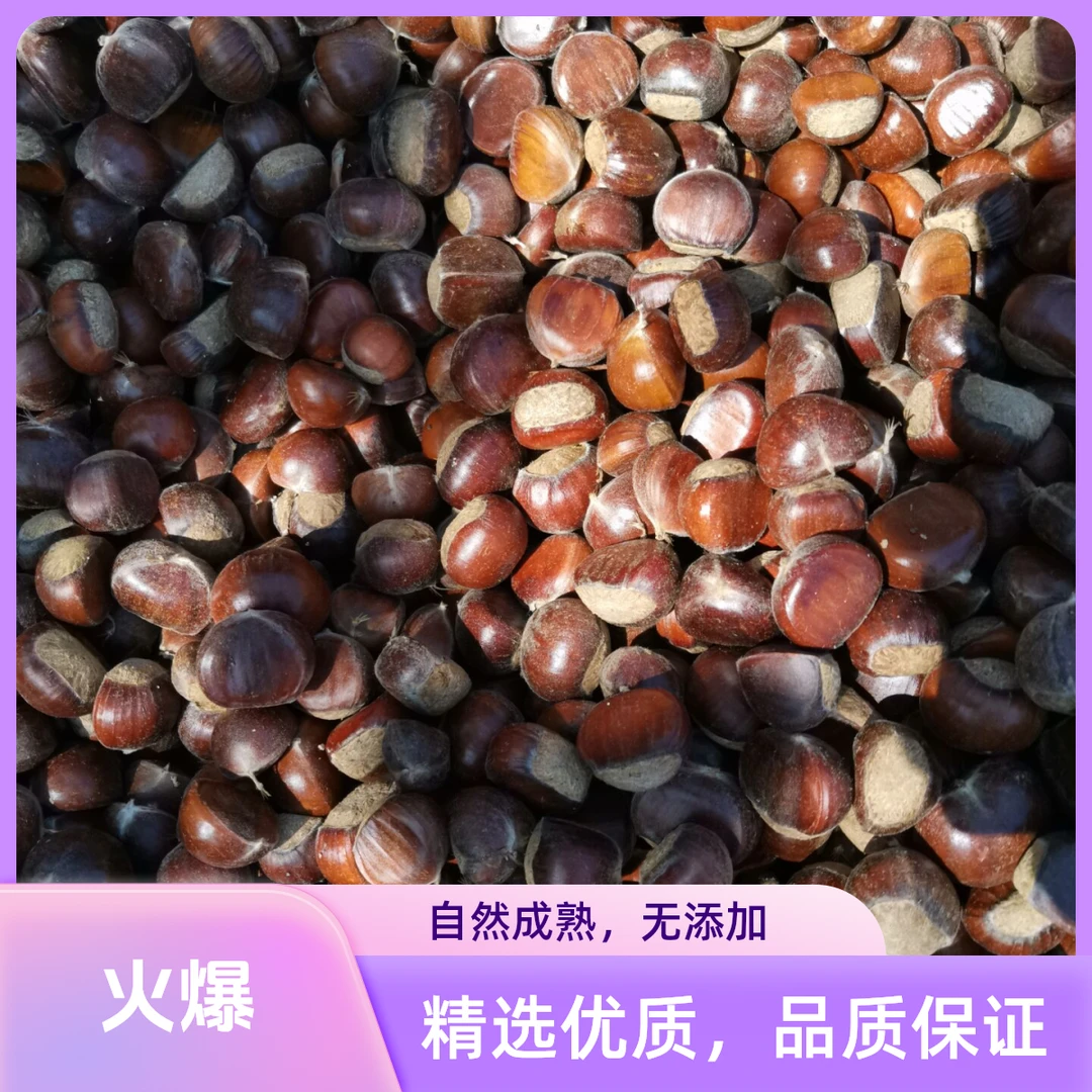 迁西板栗栗子新鲜好剥皮高山板栗正宗迁西板栗地理标识认证