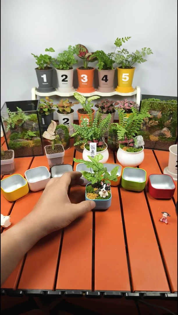 无花朵小茉李专属链接马卡龙蓝方1