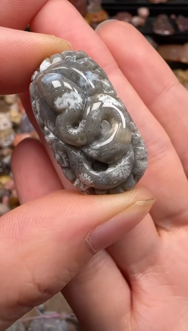硅化珊瑚（珊瑚玉）未镶嵌颈饰561