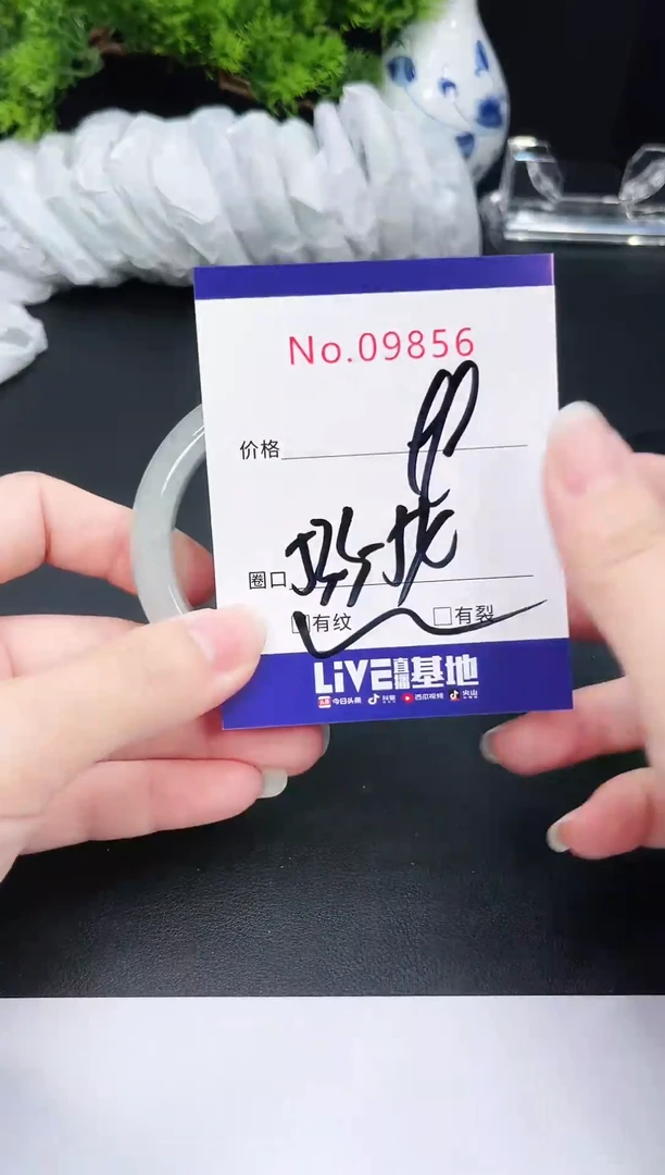 未镶嵌手镯翡翠9856