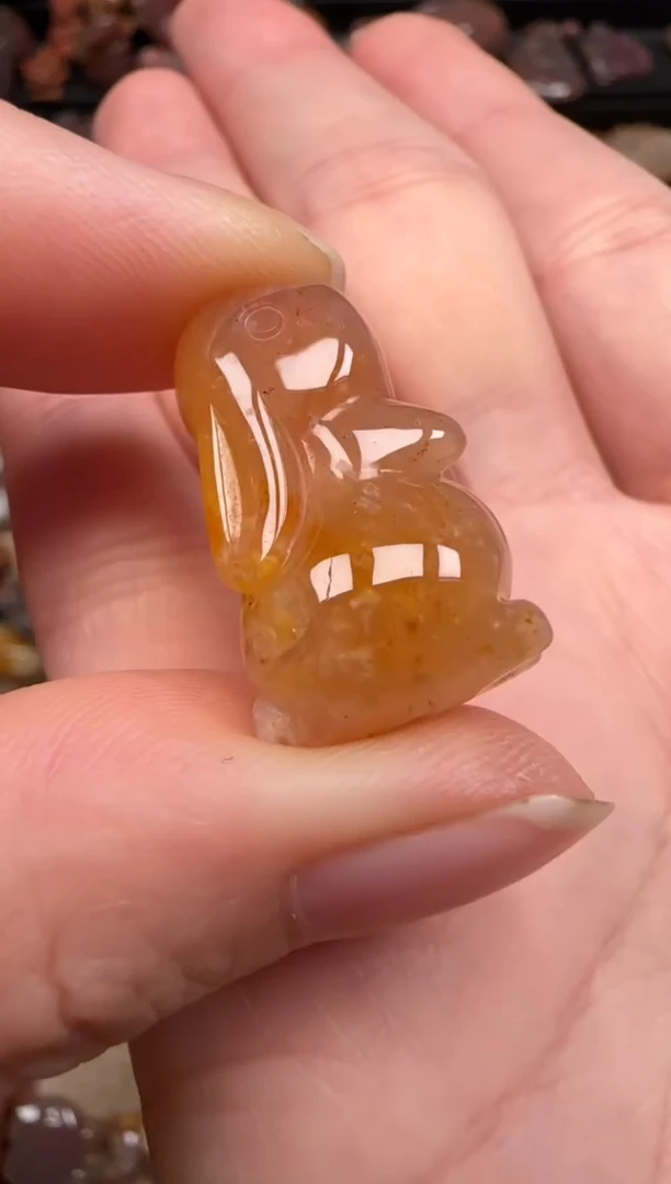 硅化珊瑚（珊瑚玉）未镶嵌颈饰711