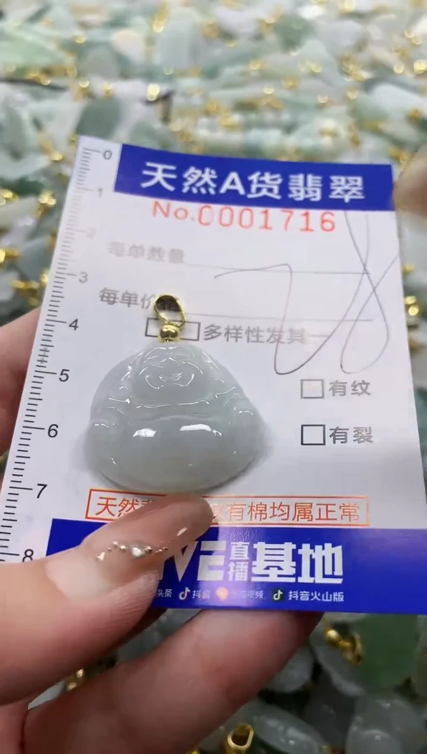 颈饰未镶嵌翡翠天然A货翡翠