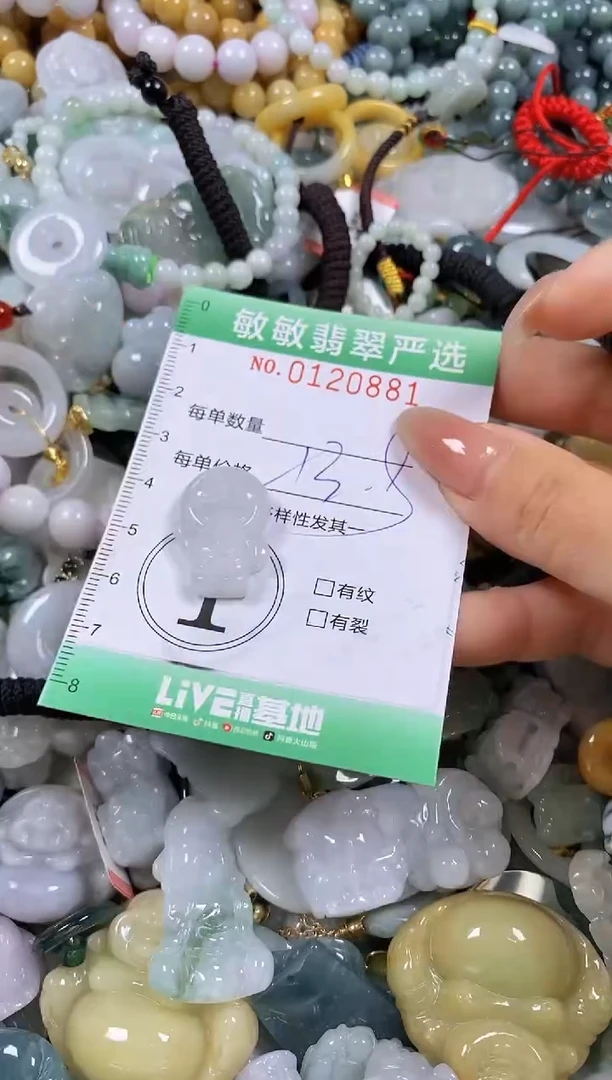 【闪购商品】翡翠颈饰未镶嵌闪购0120881多样性发其一