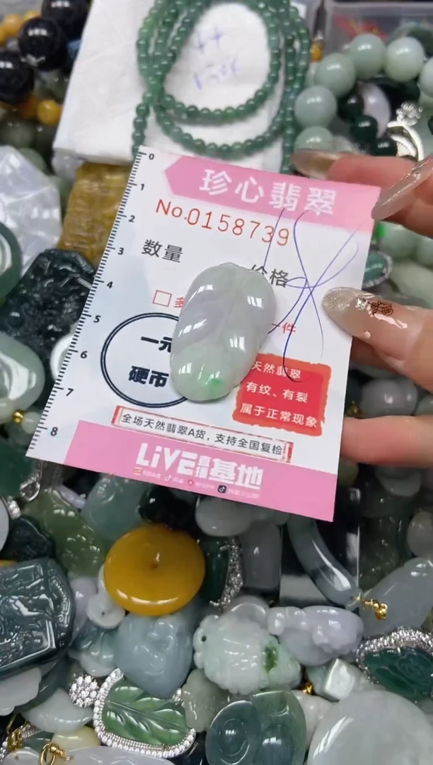 【闪购商品】翡翠颈饰未镶嵌闪购0158739