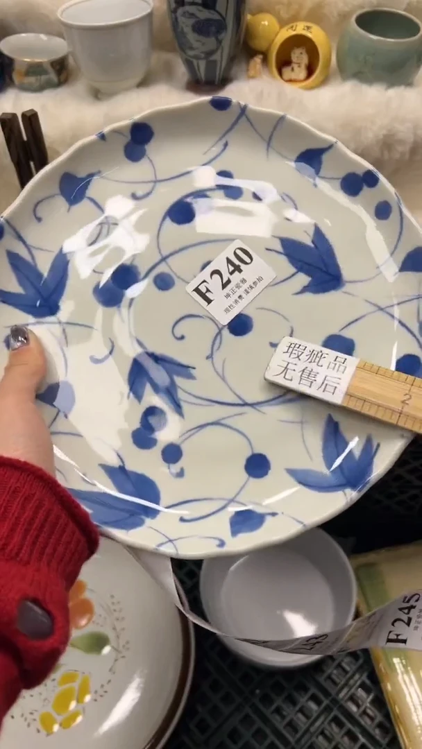 【闪购商品】瓷片          F240