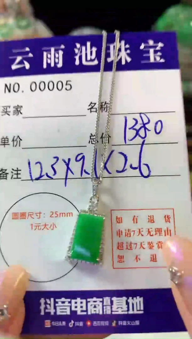 翡翠银S925镶嵌颈饰翡翠