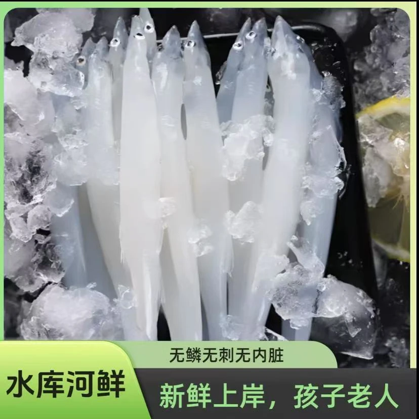 【银鱼】淡水银鱼新鲜冷冻粉丝浮力宝宝辅食孕妇老人