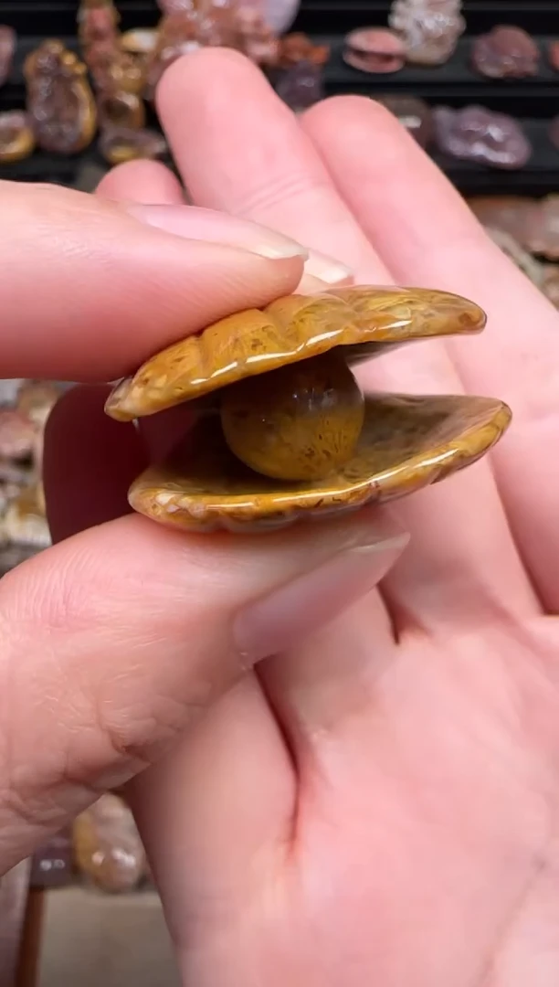 颈饰未镶嵌硅化珊瑚（珊瑚玉）129