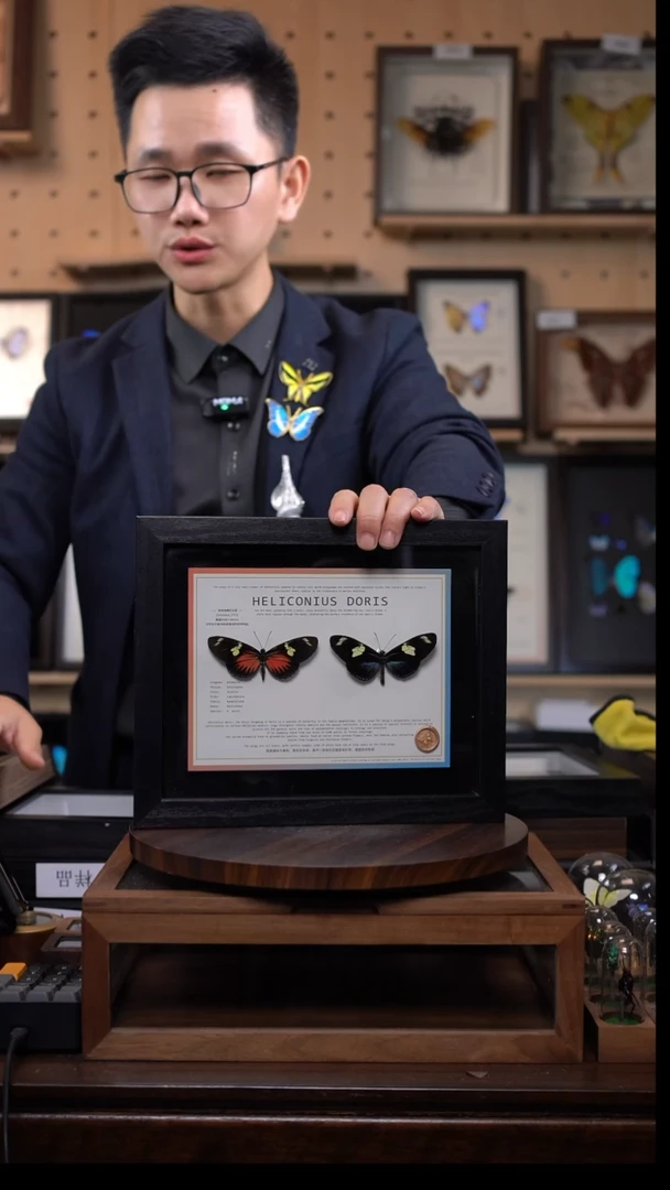 海神袖红蓝一对10寸横框