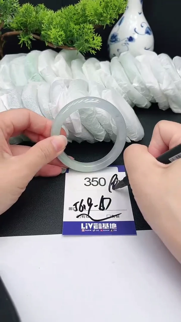未镶嵌手镯翡翠350