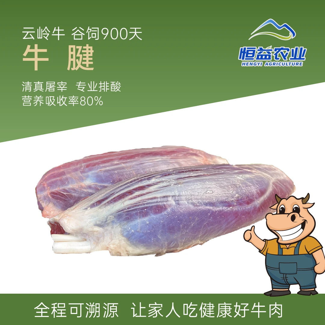 岭牛记生鲜牛肉 牛腱子(生鲜)切片火锅涮煮炖卤优选鲜嫩肉质