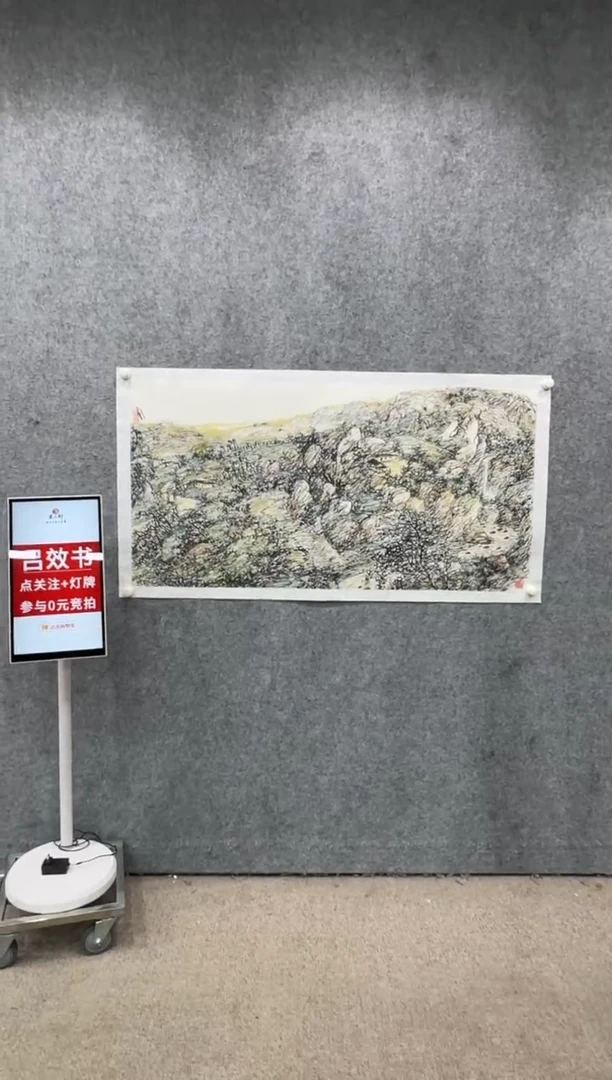 【闪购商品】国画pmw不二轩旗舰店国画LXS3