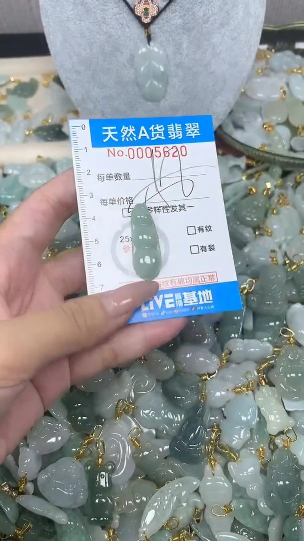 翡翠未镶嵌颈饰净货挂件-5620