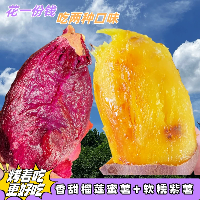 【双拼蜜薯】云南黑美人紫薯＆榴莲蜜薯双拼组合·糖心紫薯＆香甜蜜薯