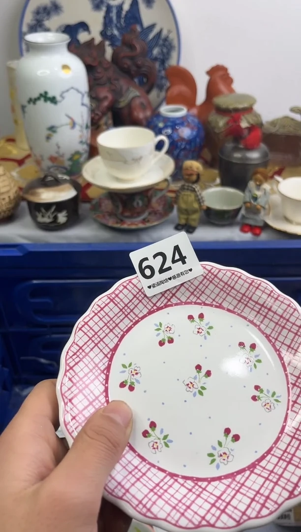 【闪购商品】瓷片624............