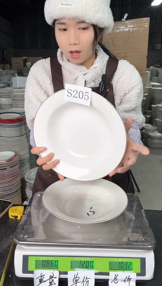 【闪购商品】瓷S205  9寸  2个