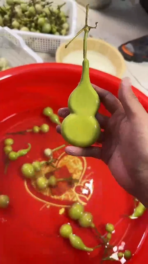 唐*文玩葫芦摆件手把件本捻扁