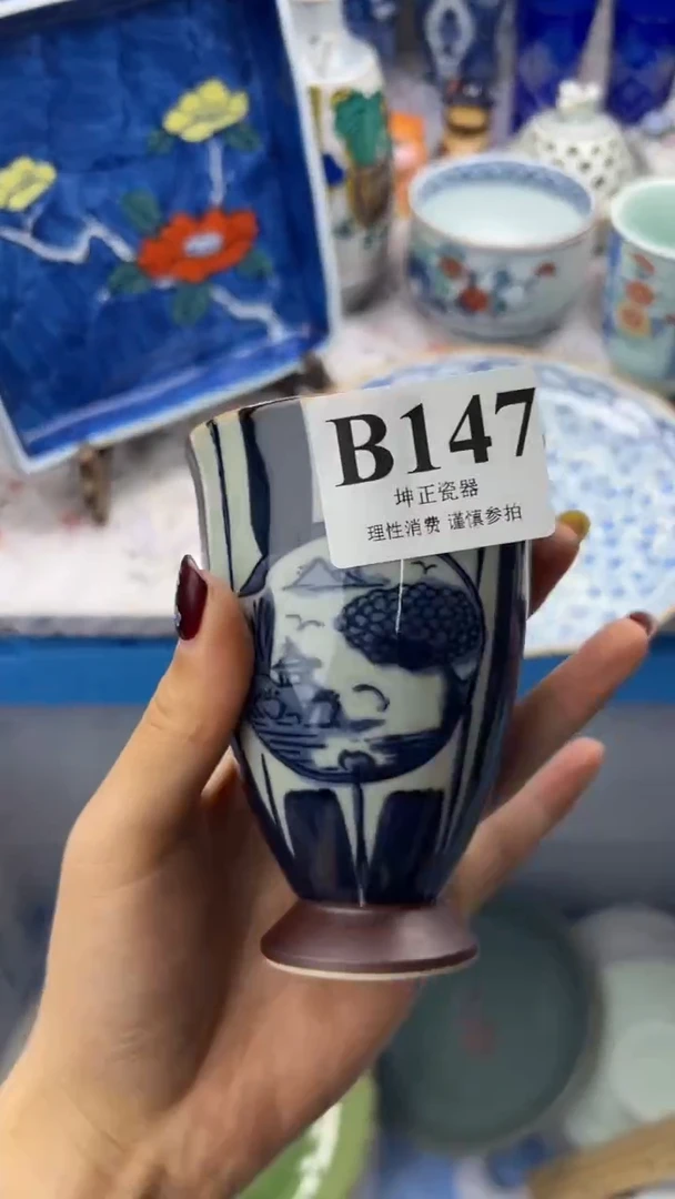 瓷片          B147