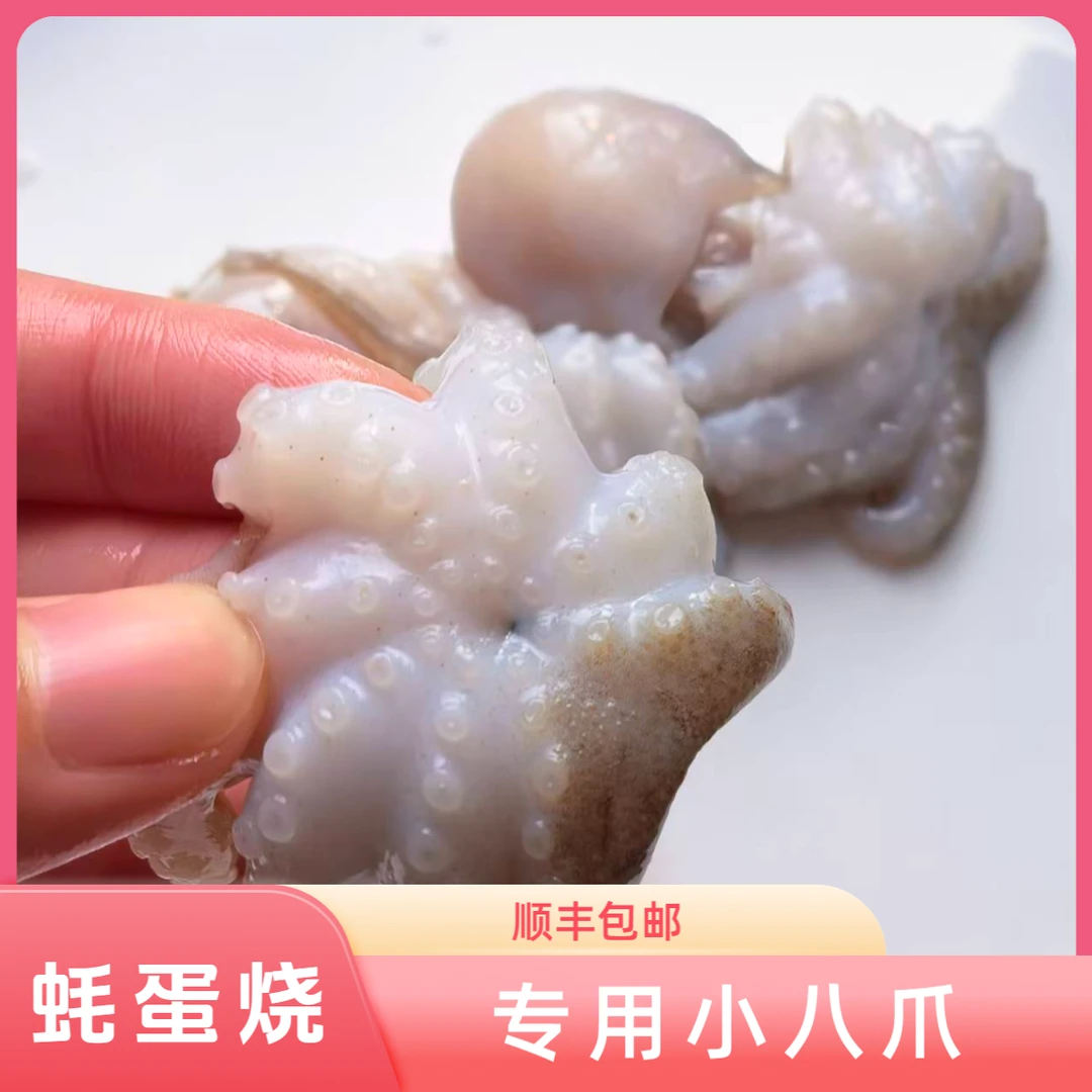 【小规格】八爪鱼蚝蛋烧专用新鲜小章鱼海鲜水产鱼冷冻迷你大爆头