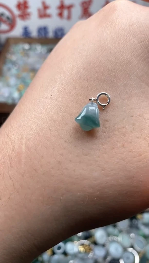 【闪购商品】翡翠颈饰未镶嵌新年快乐！