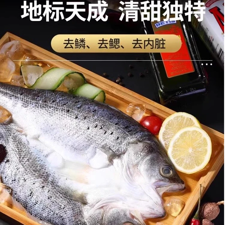 【只发新疆】白蕉海鲈鱼清蒸鲈鱼400-500克