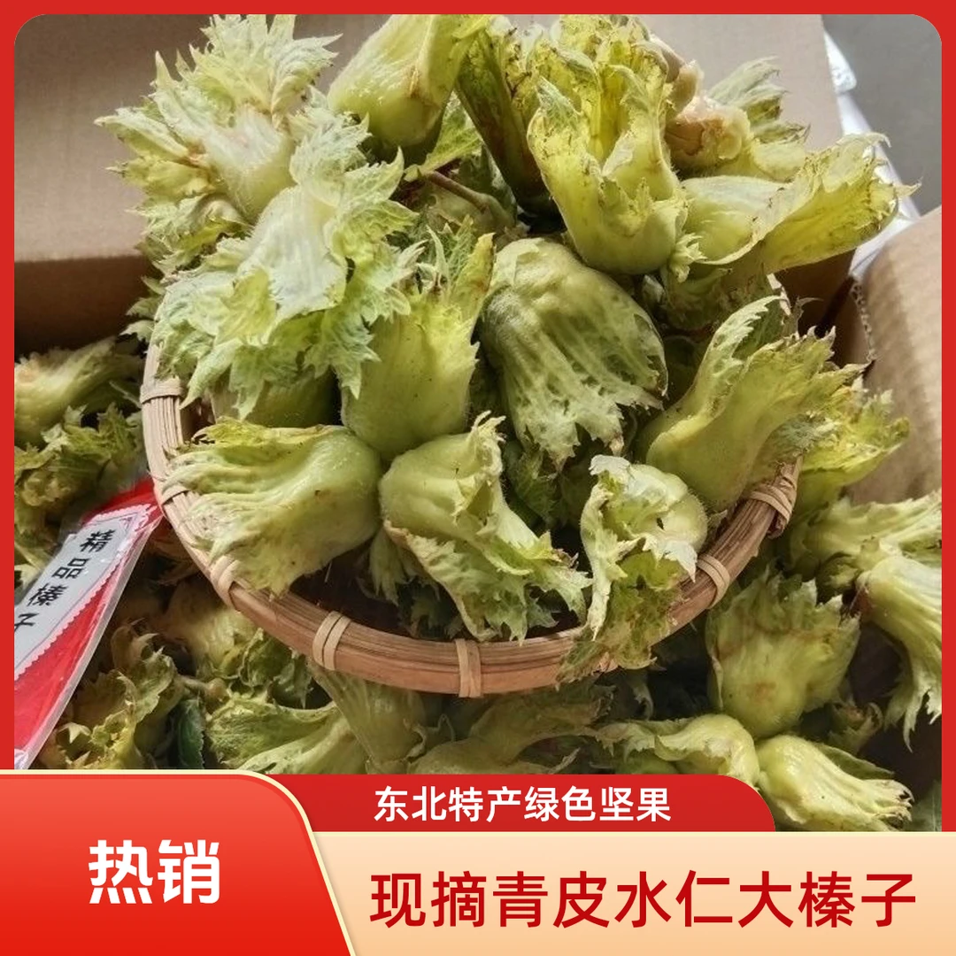 【新鲜应季】现摘青皮带皮水仁大榛子东北特产带绿皮坚果