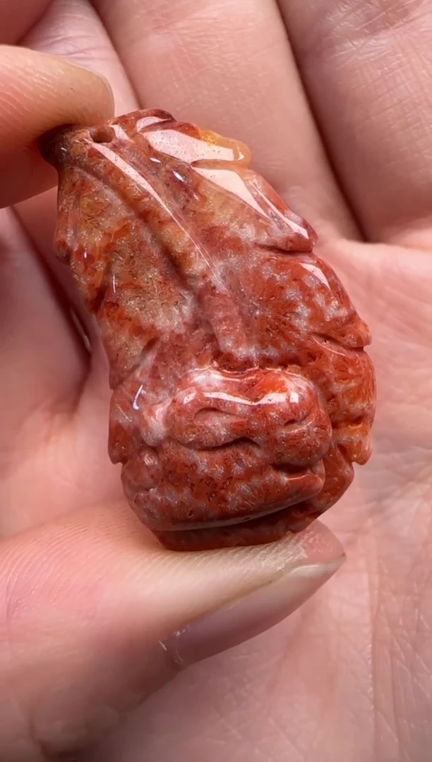 硅化珊瑚（珊瑚玉）未镶嵌颈饰361